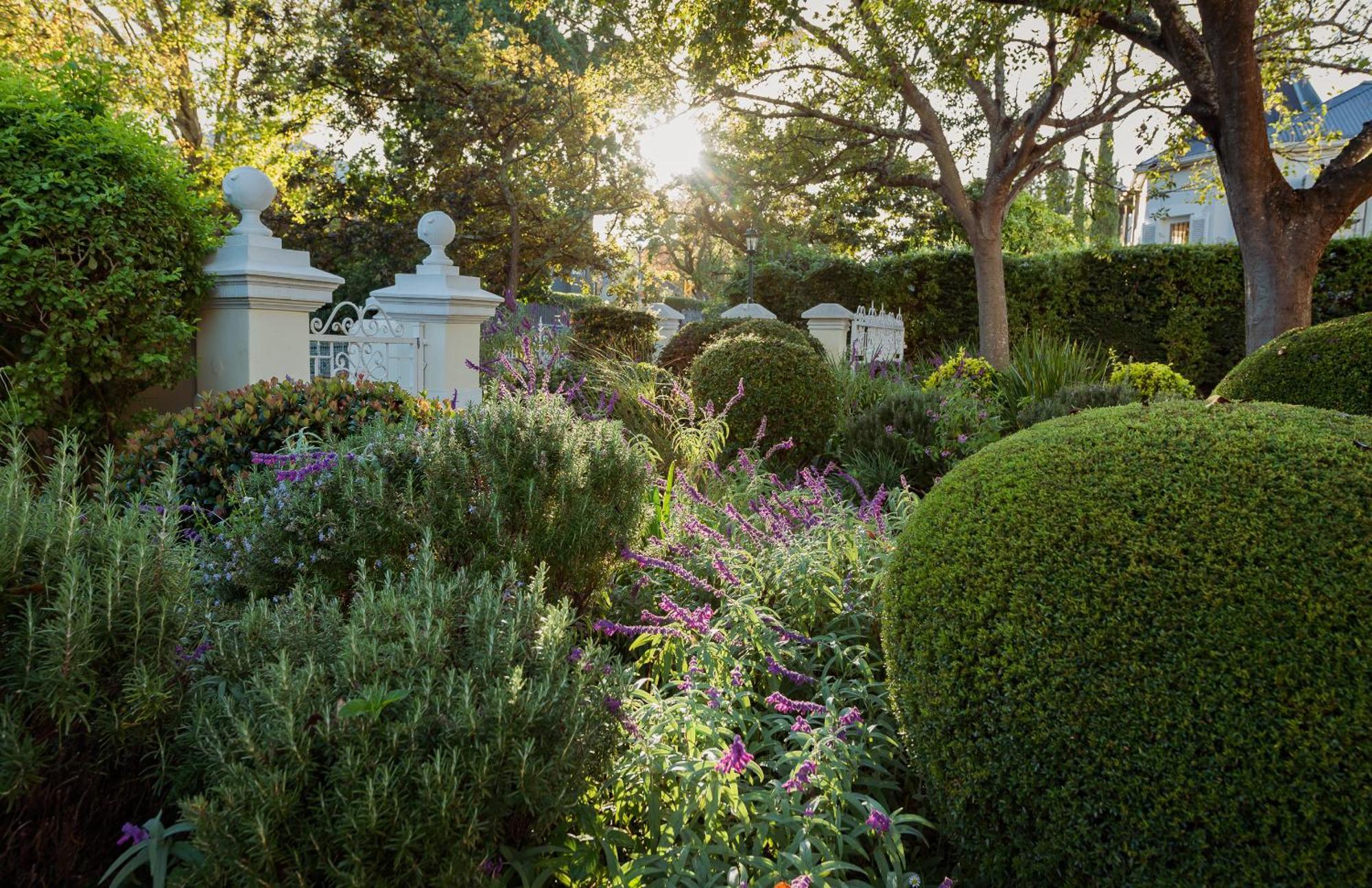 Bonne Esperance Boutique Guest House Stellenbosch Exteriér fotografie